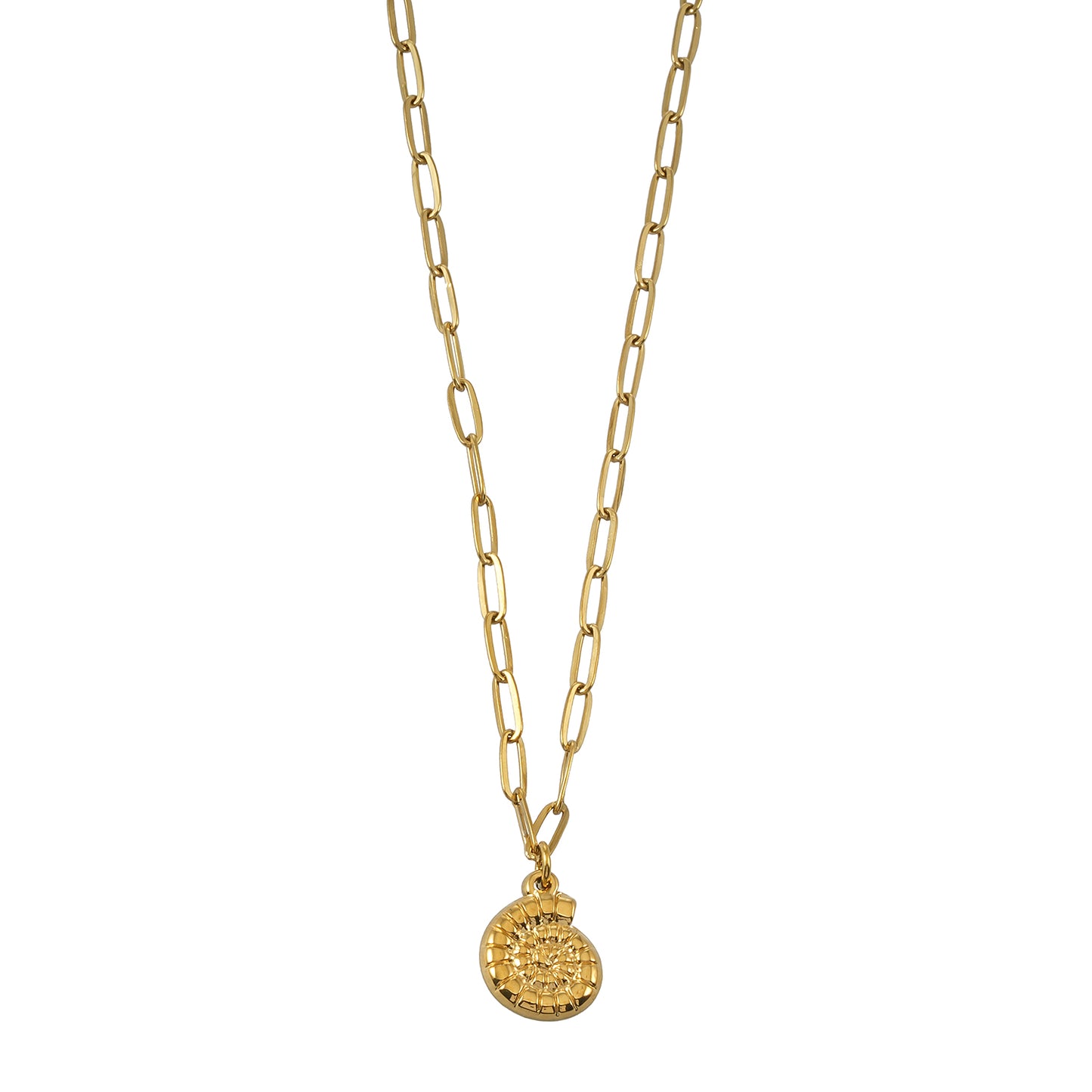 TANE Gold: Spiral Shell Pendant Paperclip Chain Necklace
