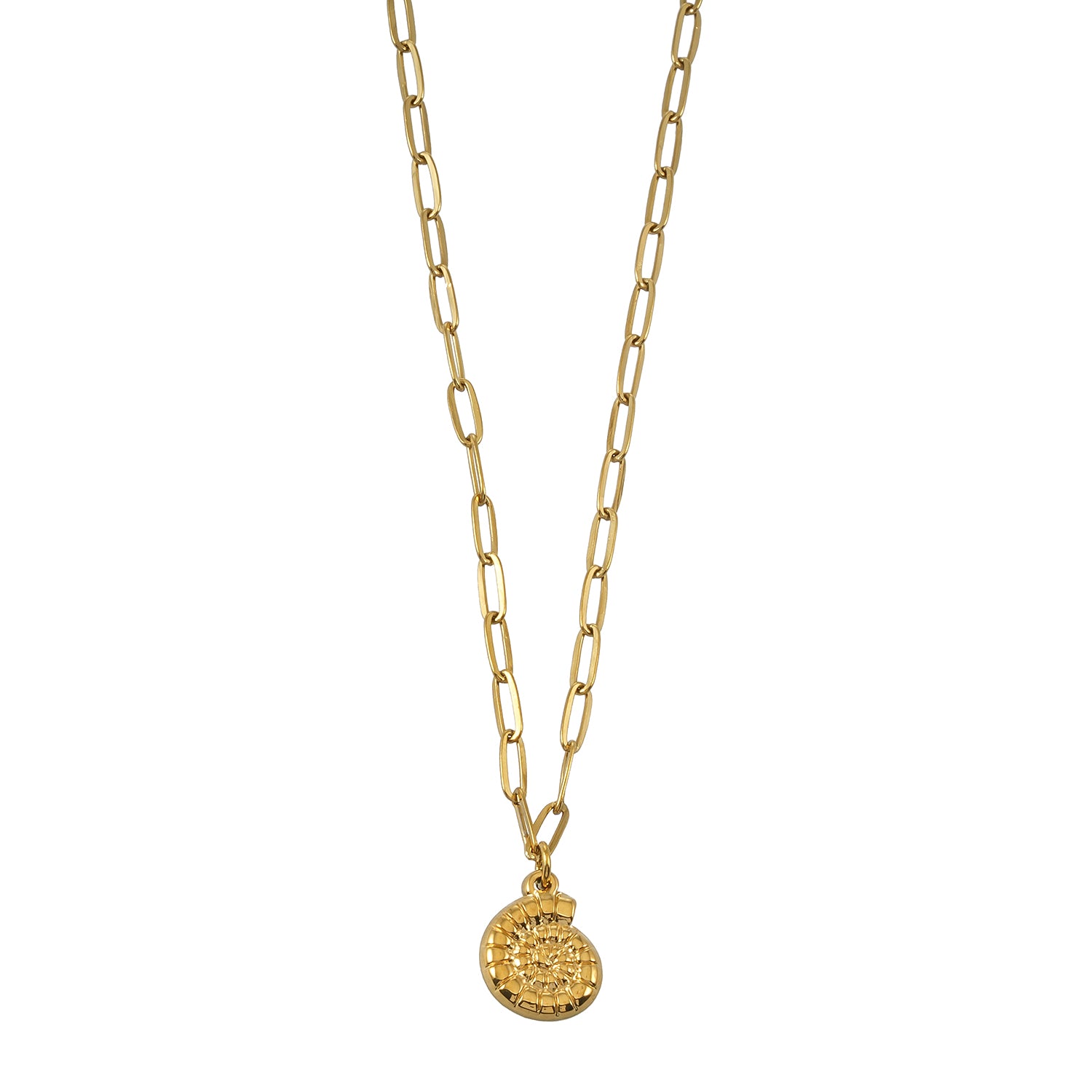TANE Gold: Spiral Shell Pendant Paperclip Chain Necklace
